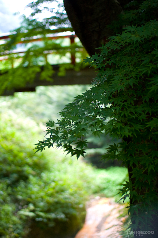 b0144437_2332896.jpg