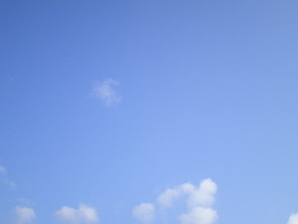 e0017051_9375816.jpg