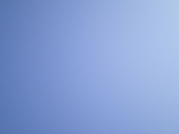 e0017051_938127.jpg