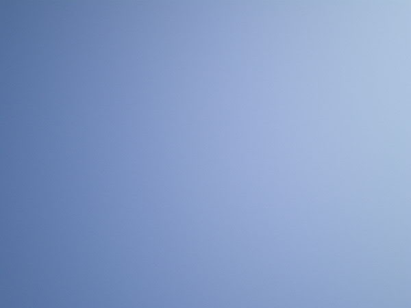 e0017051_9382477.jpg