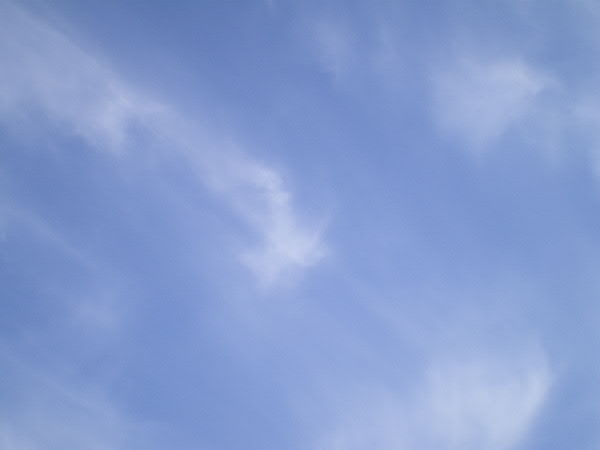 e0017051_9383780.jpg