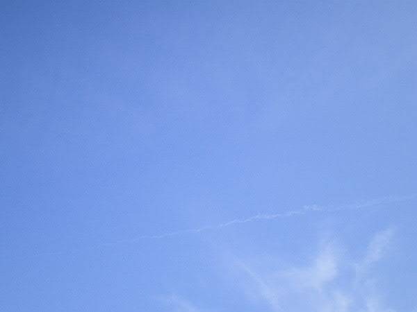 e0017051_9384919.jpg