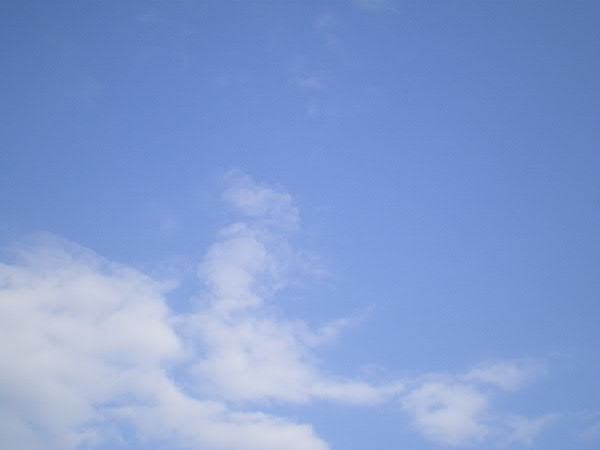 e0017051_9391188.jpg