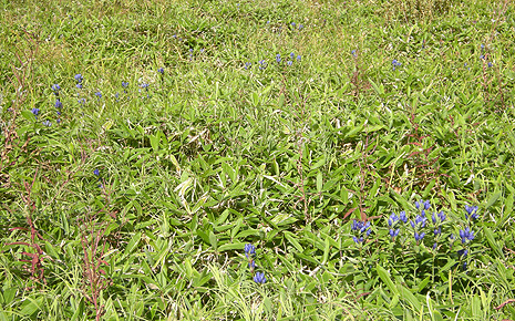 a0001354_185754.jpg
