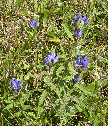 a0001354_18575944.jpg
