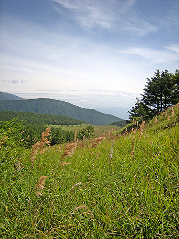 a0001354_21441755.jpg