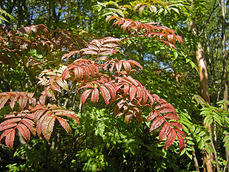 a0001354_214430100.jpg
