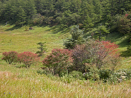 a0001354_21461349.jpg