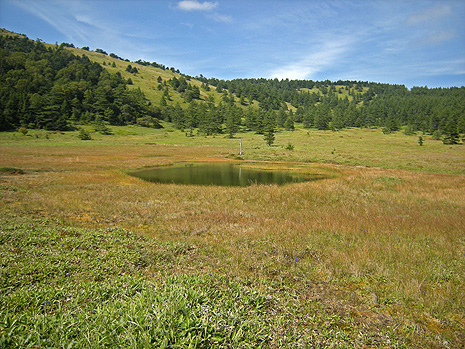 a0001354_21463298.jpg