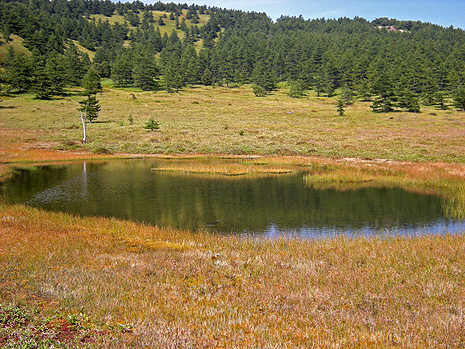 a0001354_2146462.jpg