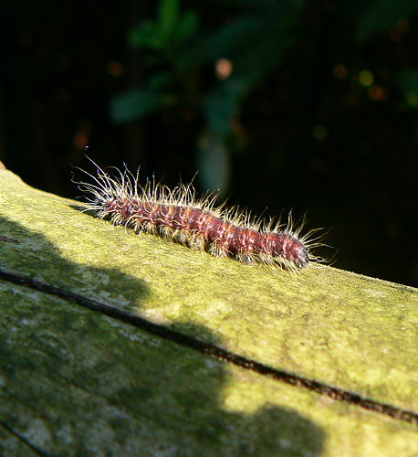 d0091754_2321162.jpg