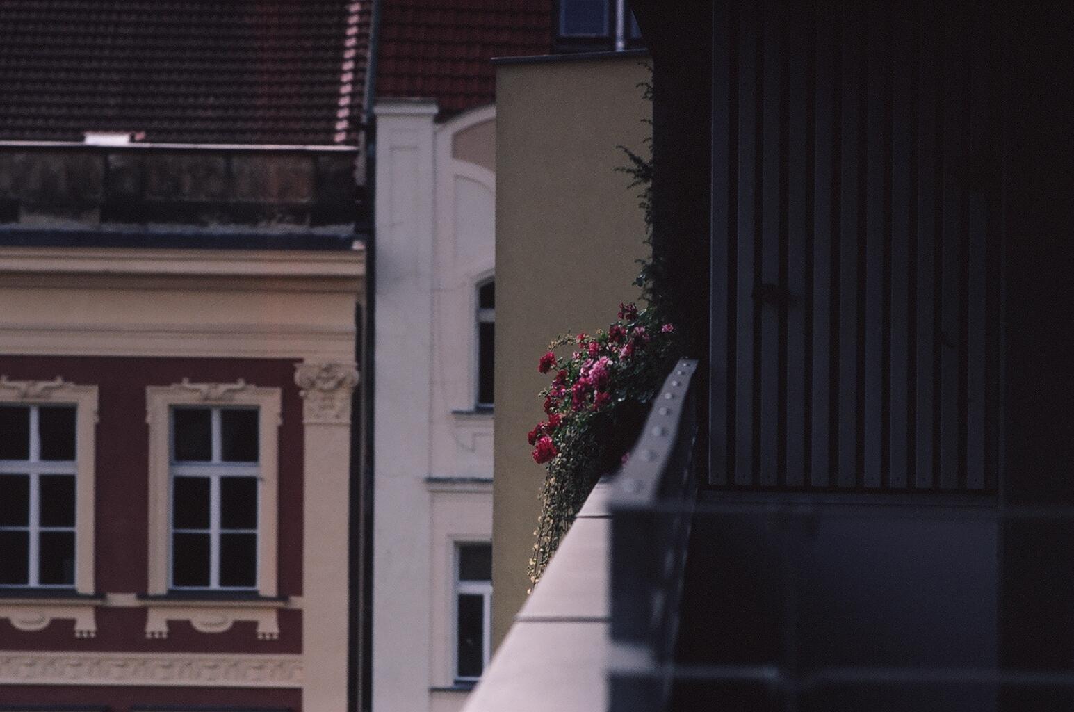 e0134658_7204581.jpg