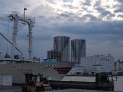 c0177264_10181061.jpg