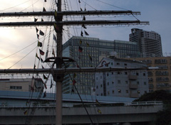 c0177264_1219397.jpg