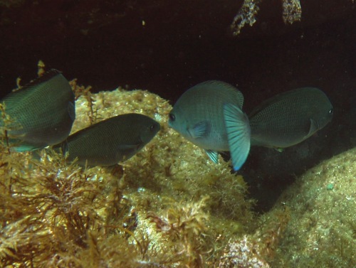 b0050067_9322352.jpg
