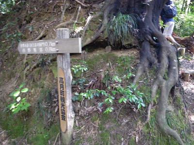 c0002874_11144513.jpg