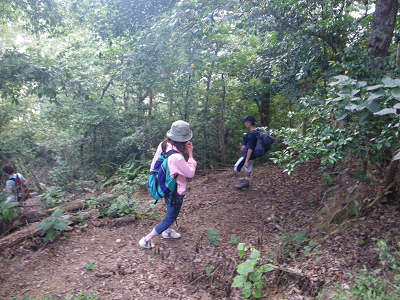 c0002874_11493298.jpg