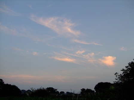 c0078480_23202217.jpg