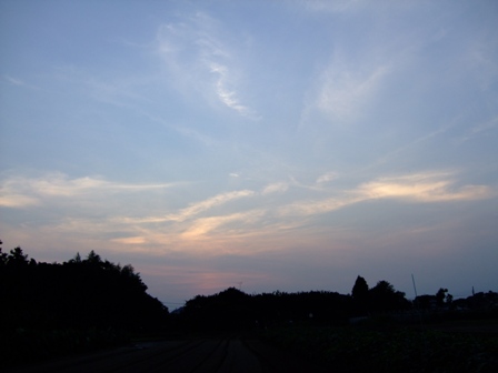 c0078480_2332246.jpg
