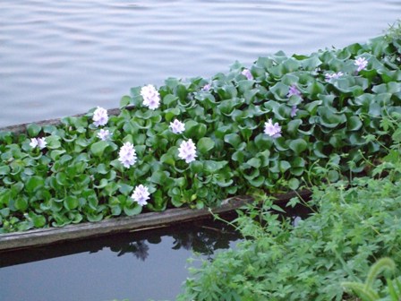 c0078480_23341217.jpg