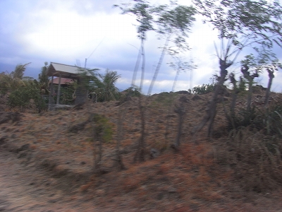 b0101284_0353261.jpg