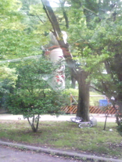 d0070094_973219.jpg
