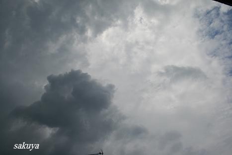 e0122194_20583782.jpg