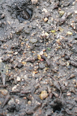 c0129498_23333269.jpg
