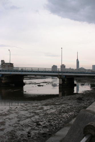 c0129498_2392538.jpg