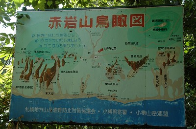 f0157901_21133044.jpg