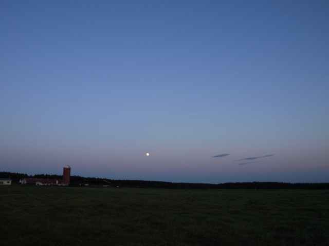 f0020302_20162375.jpg