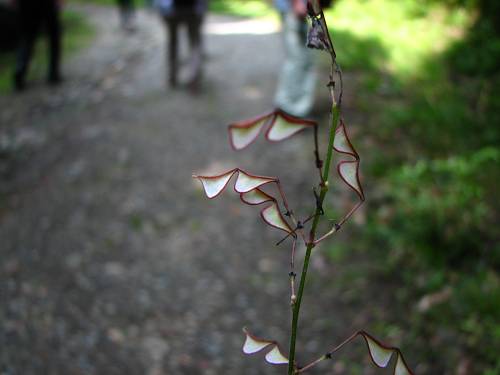 f0167310_10395570.jpg