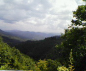 f0041113_1738276.jpg