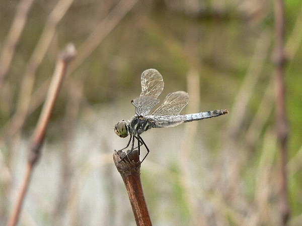 e0002314_1933448.jpg