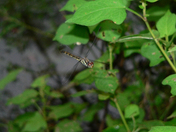 e0002314_1934567.jpg