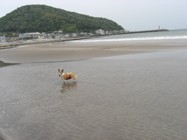 f0182121_21114224.jpg