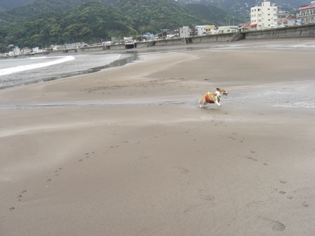 f0182121_2172888.jpg