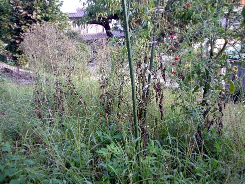 c0007822_21573630.jpg
