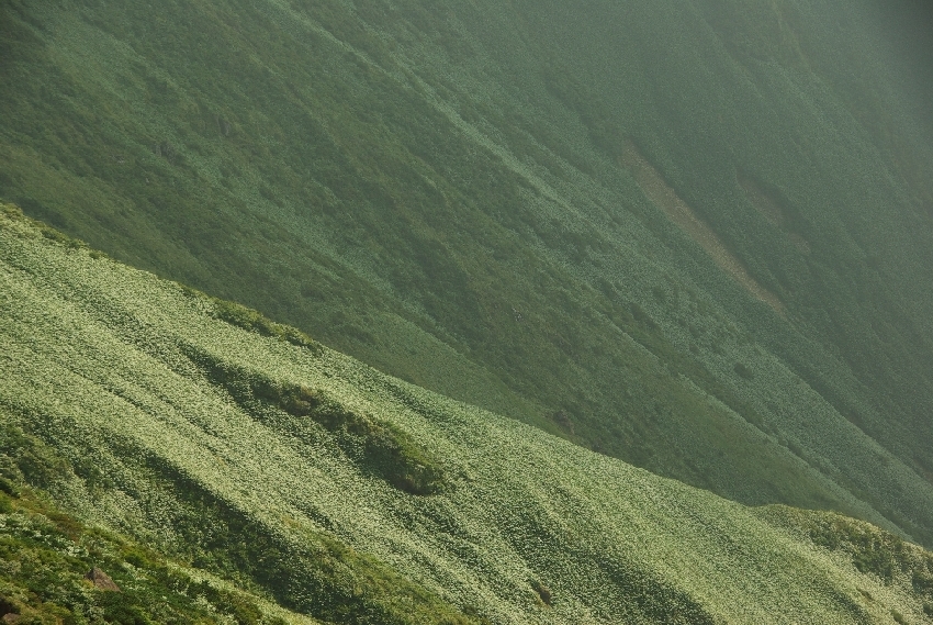 b0062024_23441629.jpg