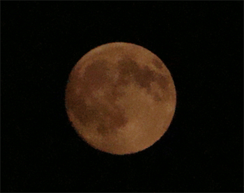 d0002224_21403346.gif