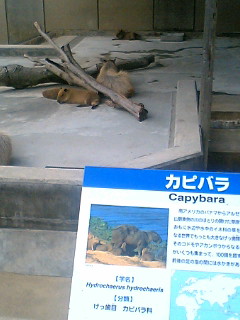 f0138828_2253168.jpg