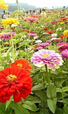 c0154630_18631.jpg