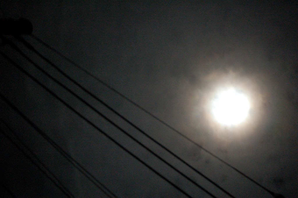 e0107030_2012209.jpg