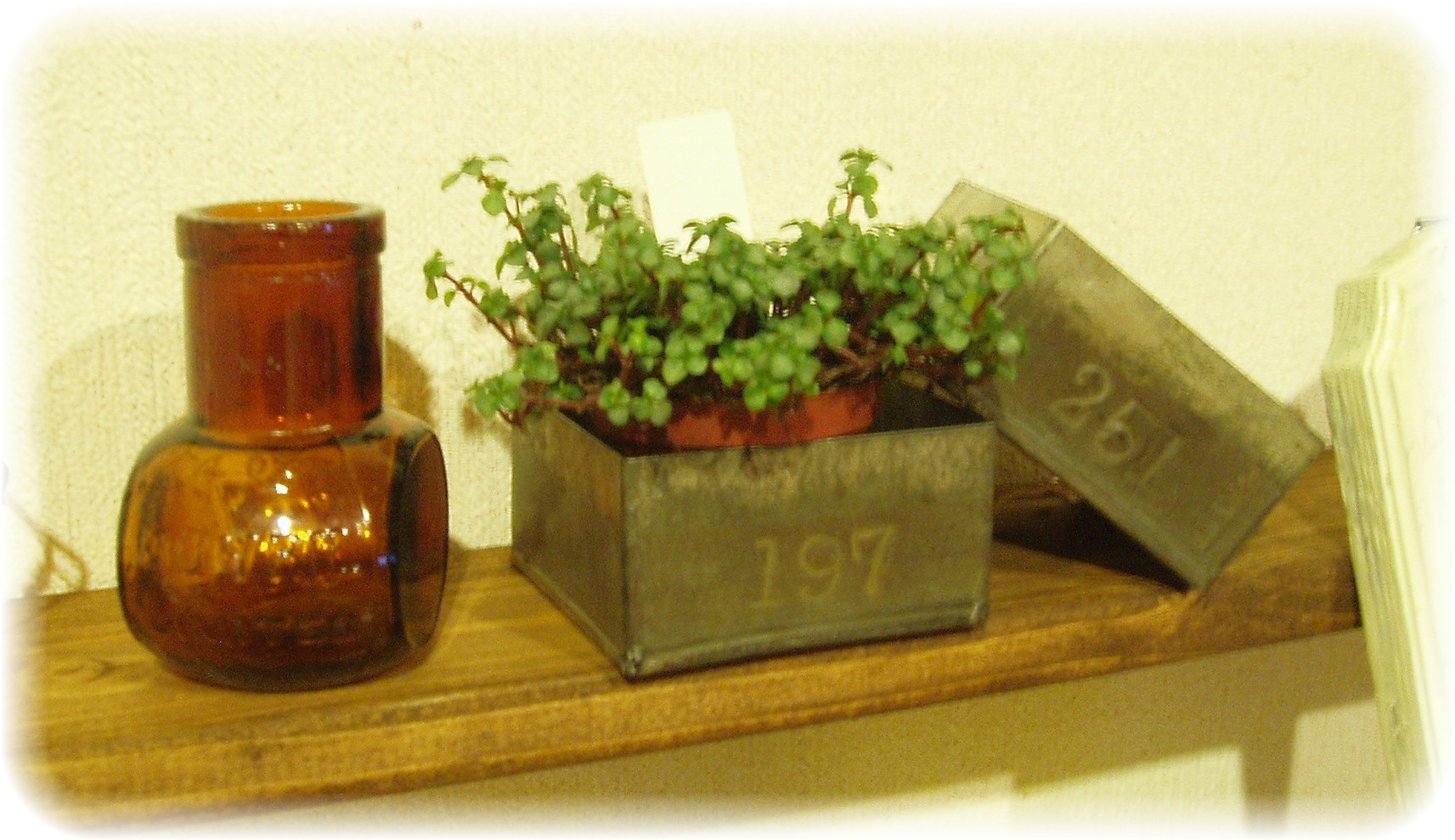 c0161933_23274251.jpg