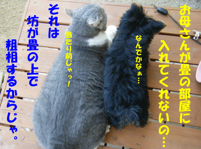f0008935_2315454.gif