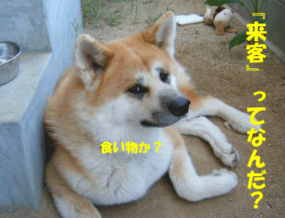 f0008935_23155916.gif