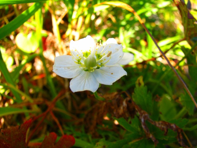 b0097836_22144937.jpg