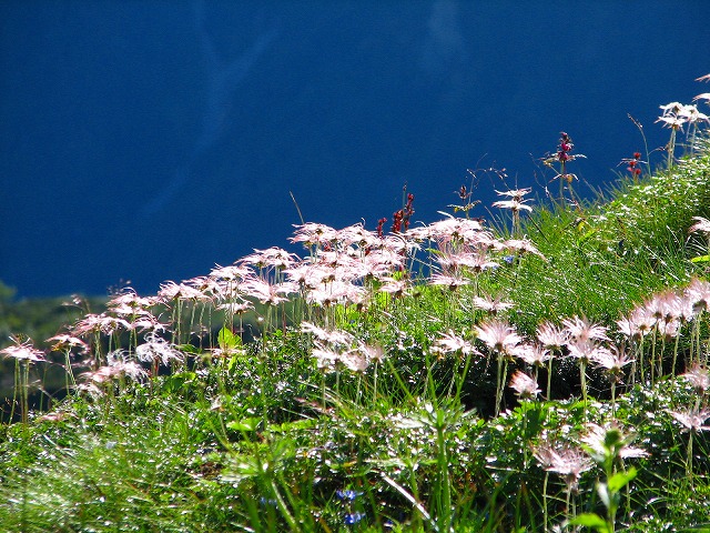 b0097836_2221023.jpg