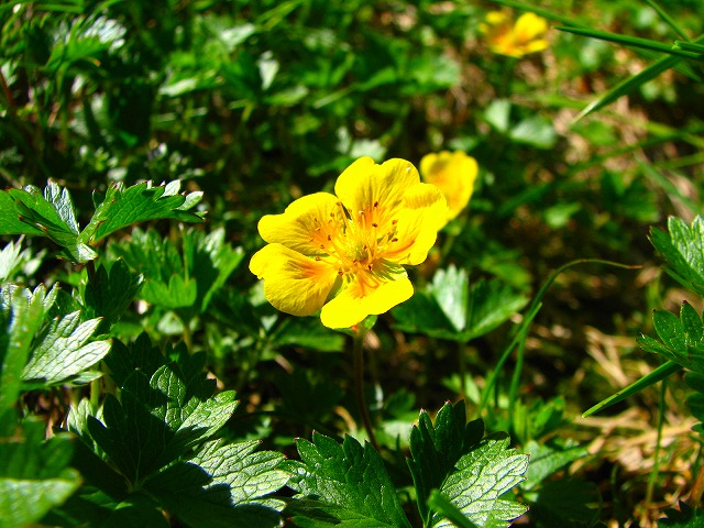 b0097836_22313443.jpg