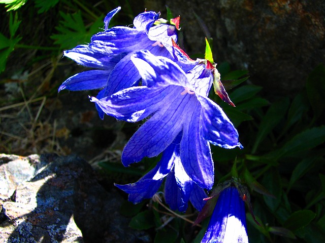 b0097836_22325163.jpg